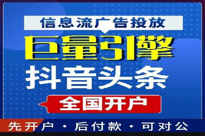 搜索引擎优化（SEO）与竞价广告（SEM）的对比案例